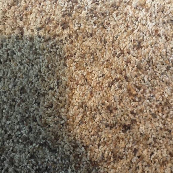 Meet your Posher, Danielle - Picture 1 of 1